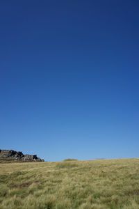 Scenic view of landscape against clear blue sky