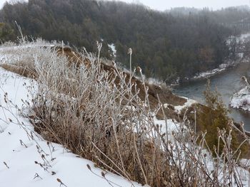 Scenic view of snow covered land and trees