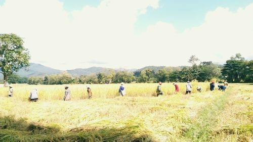 People on field against sky