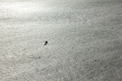 High angle view of bird on beach