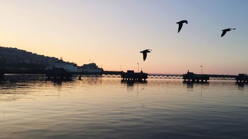 Silhouette birds flying over river against sky during sunset