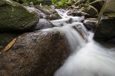 Scenic view of waterfall in forest