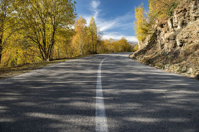 Surface level of empty road along trees