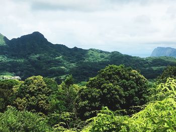 Scenic view of forest against cloudy sky