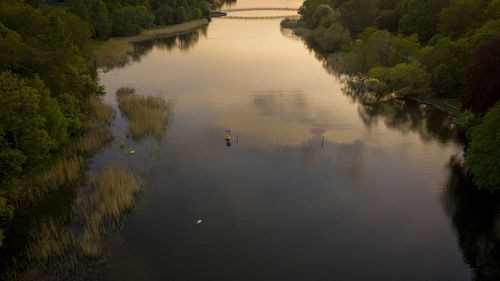 High angle view of river amidst trees