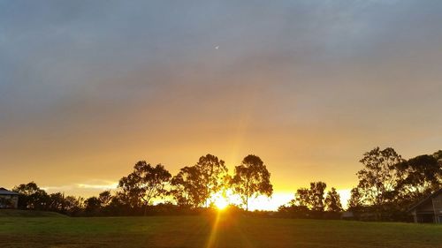 Sun shining through trees on field