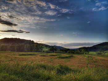 Scenic view of field against sky
