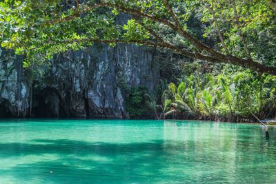 Scenic view of sea against mountain in forest