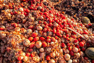 Full frame shot of berries in market