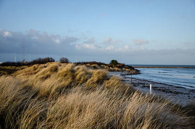 Scenic view of beach against sky