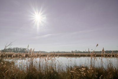 Scenic view of lake against sky