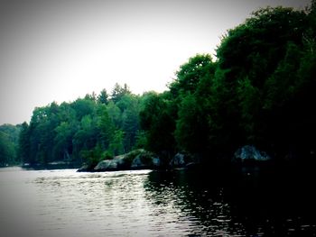 Scenic view of river with trees in background