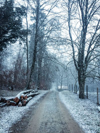 Road amidst bare trees during winter