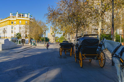 Rear view of woman walking on street