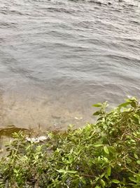 High angle view of a lake