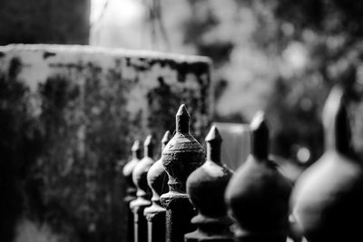 Close-up of plant against blurred background