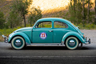 Vintage car on road against trees