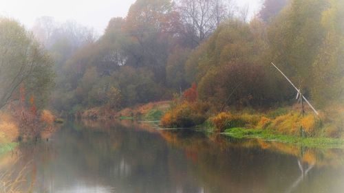 Scenic view of lake in forest during autumn