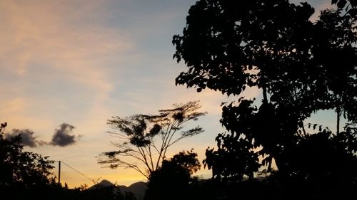 Low angle view of silhouette trees against sky during sunset