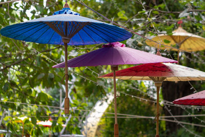 Close-up of multi colored umbrella against trees