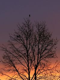 Silhouette tree against sky at sunset