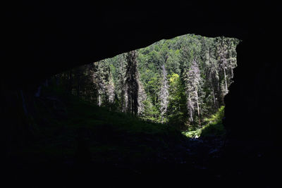 View of rock formations