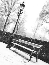 Close-up of snow on park against sky