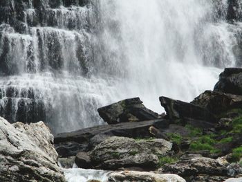 Scenic view of waterfall in forest