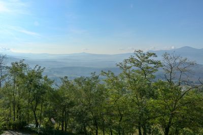 Scenic view of trees and mountains against sky