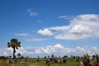 Scenic view of grassy field against cloudy sky during sunny day