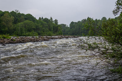 Scenic view of river flowing in forest against sky