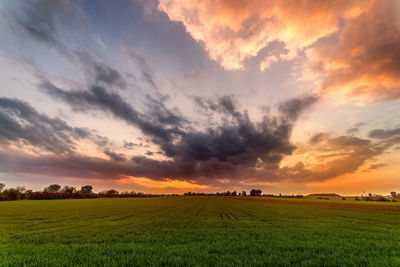 Scenic view of field against sky during sunset