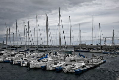 Boats moored at harbor