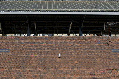 View of an abandoned building