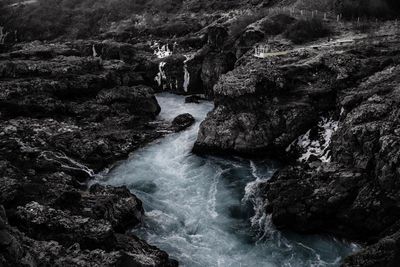 Scenic view of waterfall in forest