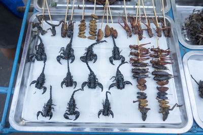 Scorpions and insects to eat