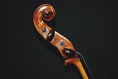 Close-up of string instrument against black background