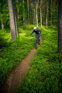 A young man riding a mountain bike on a singletrail in the forest near klagenfurt, austria.