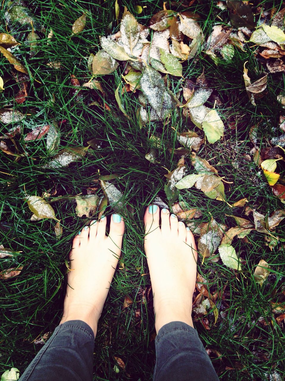 low section, person, personal perspective, shoe, standing, high angle view, human foot, lifestyles, leisure activity, field, directly above, men, footwear, leaf, grass, unrecognizable person, part of