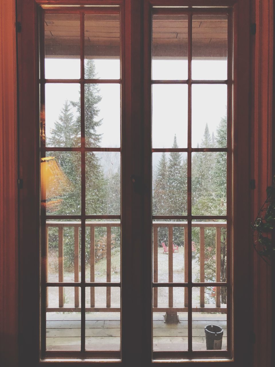 TREES AND HOUSE SEEN THROUGH GLASS WINDOW