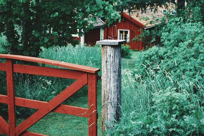 Old wooden house by trees in forest