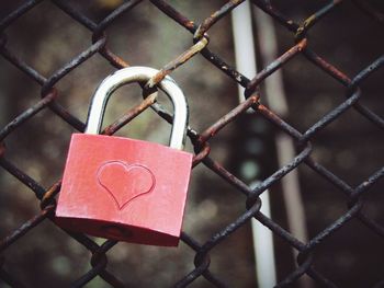 Close-up of chainlink fence