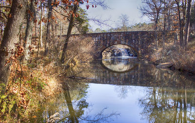 Reflection of trees in water