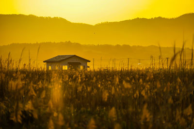 Scenic view of field against sky during sunset