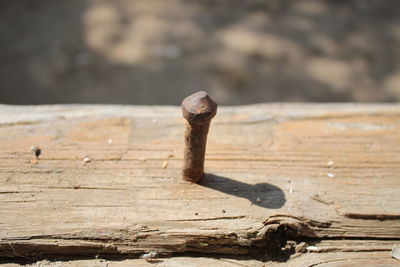 High angle view of rusty nail on damaged wooden plank