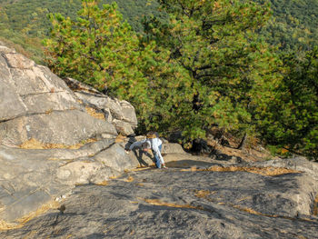 Men walking on rocks by tree mountain