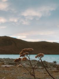 Scenic view of sea and mountains against sky