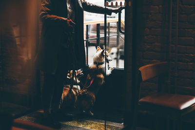 Man with dog standing at home