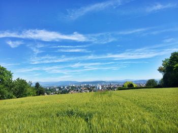 Scenic view of agricultural field against sky