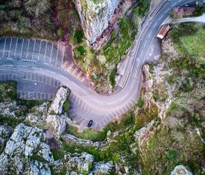 High angle view of road amidst trees